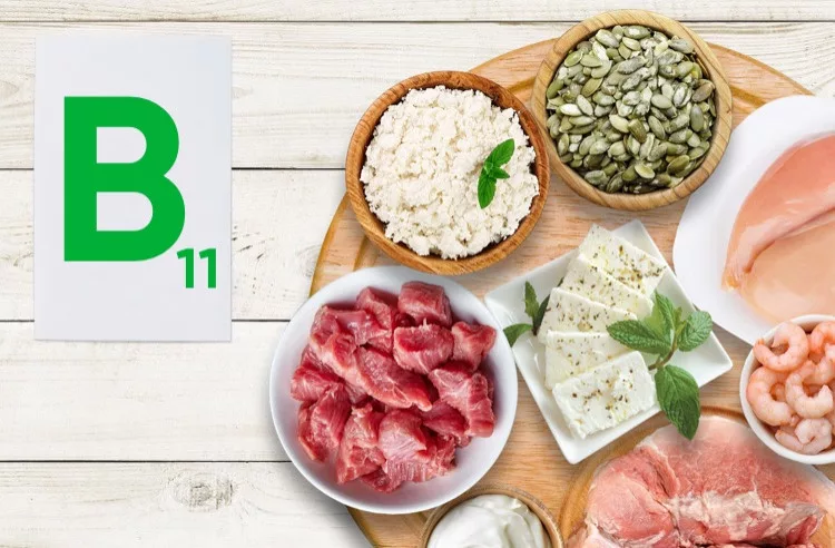 Витамин В11(L-карнитин)