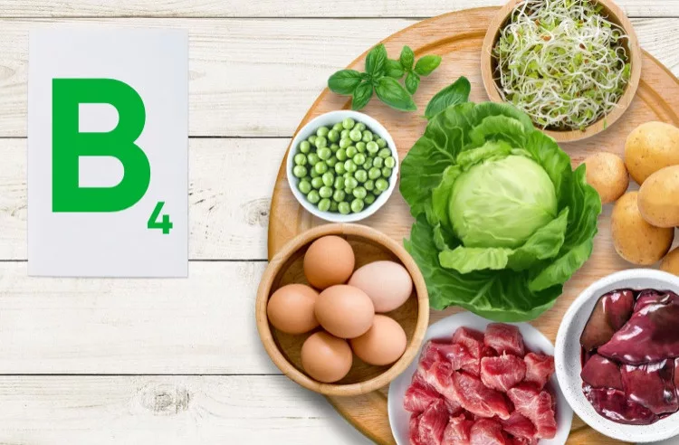 Витамин B4 (Холин)